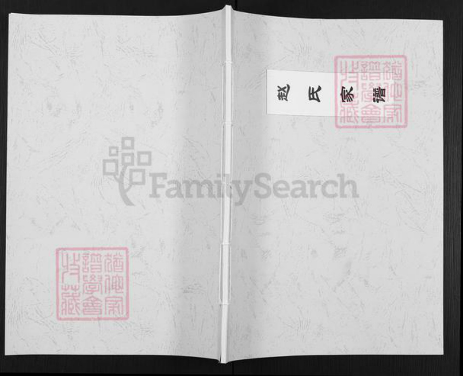 河南省郑州市荥阳市高村乡赵氏族谱-赵氏家谱.pdf电子版插图