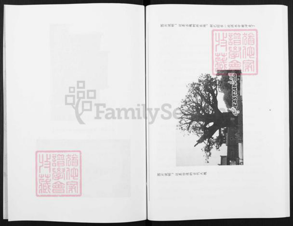 河南省郑州市荥阳市高村乡赵氏族谱-赵氏家谱.pdf电子版插图4