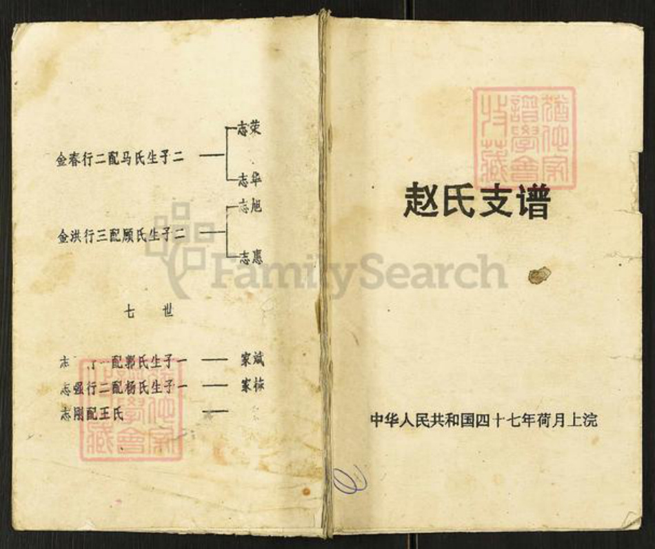 江苏省盐城市阜宁县罗桥镇赵氏半部堂族谱-赵氏支谱.pdf电子版插图
