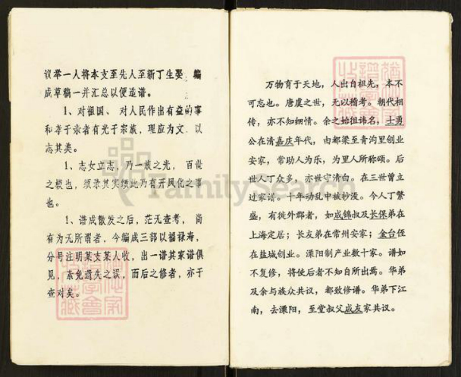 江苏省盐城市阜宁县罗桥镇赵氏半部堂族谱-赵氏支谱.pdf电子版插图4