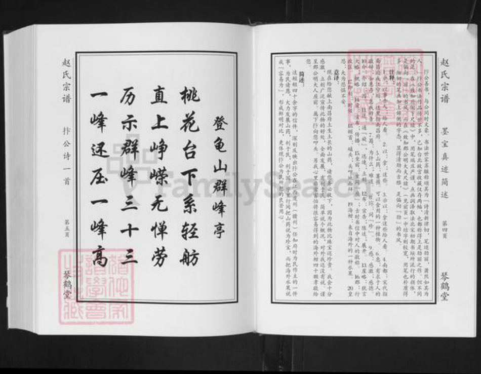 江苏省淮安市淮阴区赵氏琴鹤堂族谱-赵氏宗谱.江苏潍安分支.pdf电子版插图4