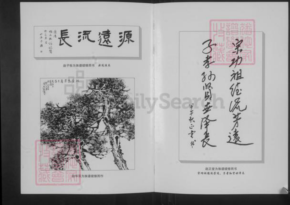 山西省阳泉市平定县锁簧镇赵氏族谱-梨林头赵氏族谱.pdf电子版插图4 山西省阳泉市平定县锁簧镇赵氏族谱-梨林头赵氏族谱.pdf电子版插图4