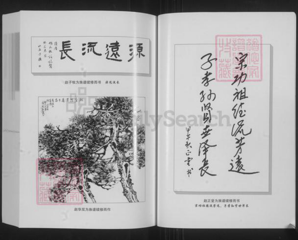 山西省阳泉市平定县锁簧镇赵氏族谱-梨林头赵氏族谱.pdf电子版插图4 山西省阳泉市平定县锁簧镇赵氏族谱-梨林头赵氏族谱.pdf电子版插图4