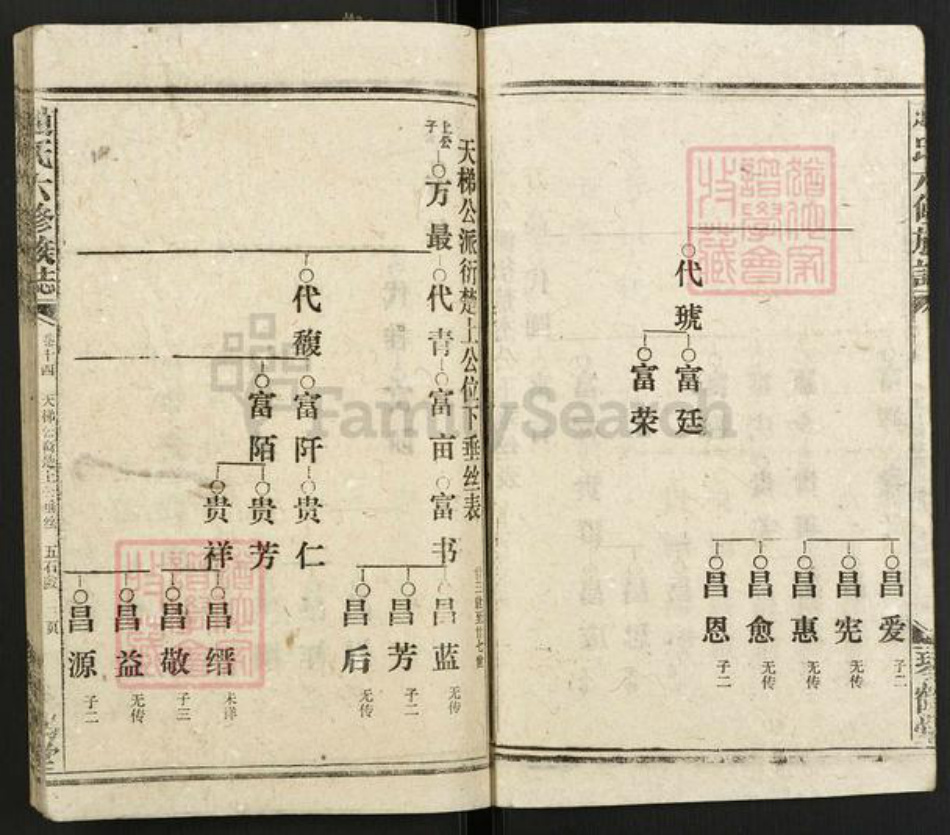 湖南省邵阳市赵氏琴鹤堂族谱-邵陵赵氏六修族谱.pdf电子版插图3