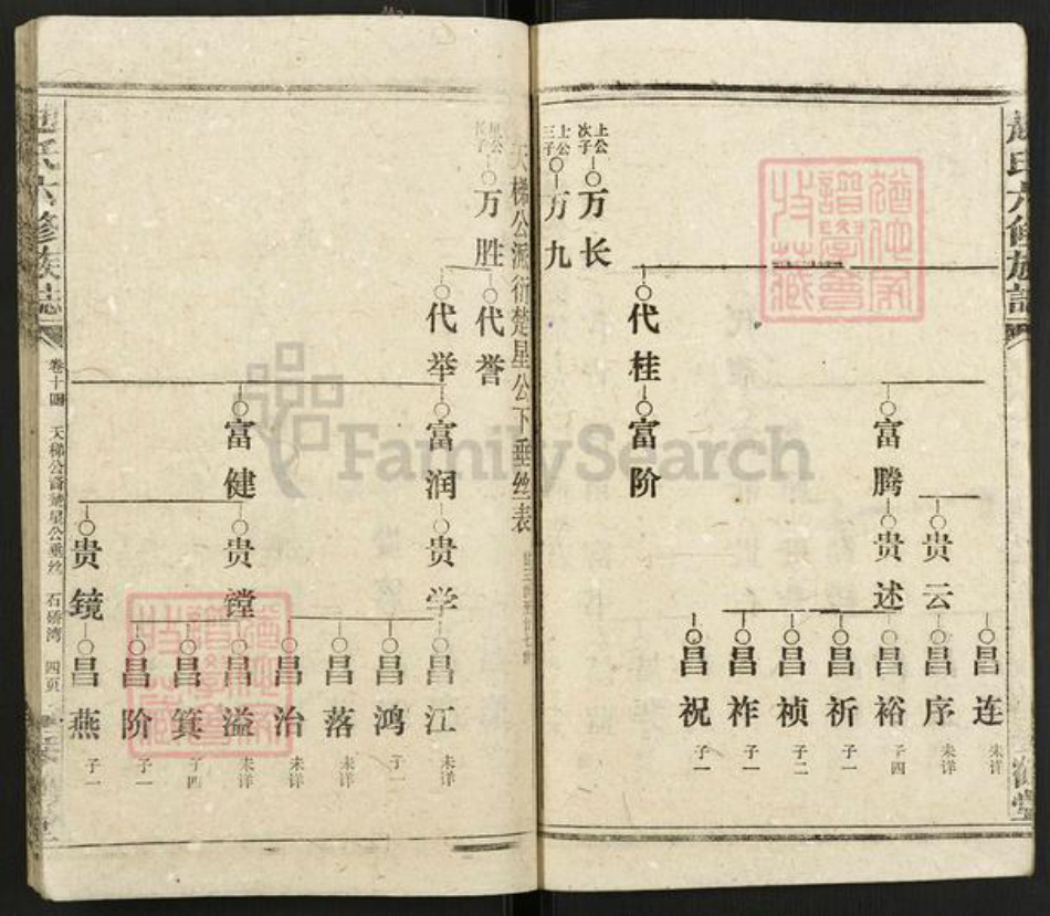 湖南省邵阳市赵氏琴鹤堂族谱-邵陵赵氏六修族谱.pdf电子版插图4