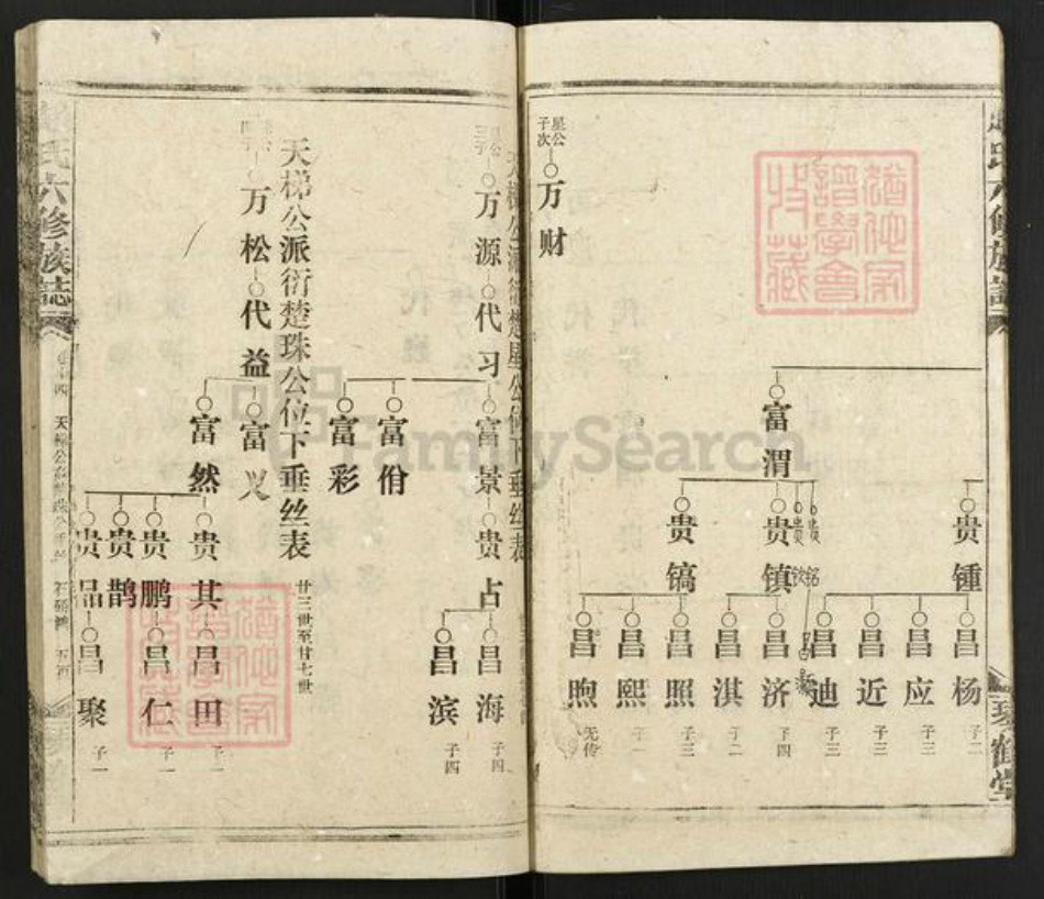 湖南省邵阳市赵氏琴鹤堂族谱-邵陵赵氏六修族谱.pdf电子版插图5