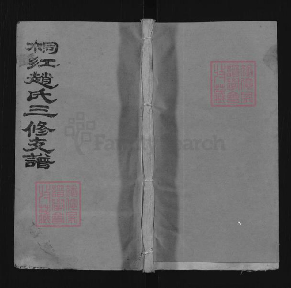 湖南省邵阳市邵东市团山镇赵氏松荫堂族谱-桐江赵氏三修支谱.pdf电子版