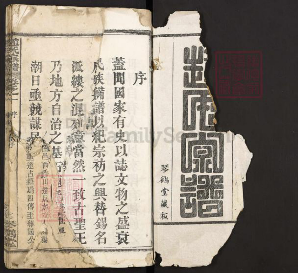 湖北省黄冈市麻城市歧亭镇赵氏琴鹤堂族谱-赵氏宗谱.pdf电子版插图1