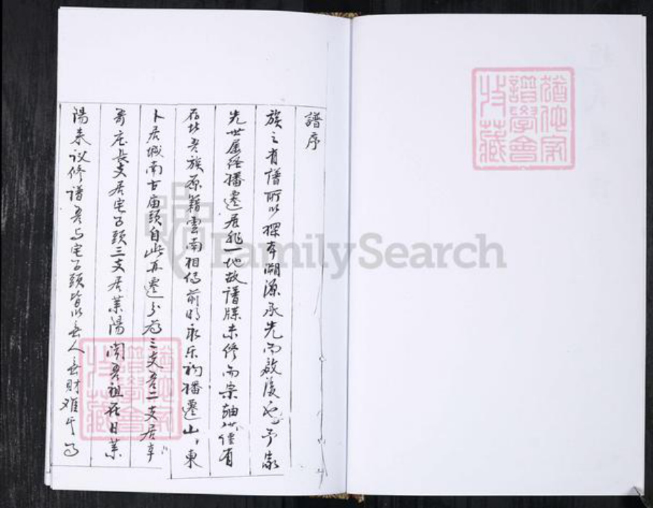 山东省青岛市即墨区赵氏族谱-赵氏族谱.辛戈庄.pdf电子版插图2