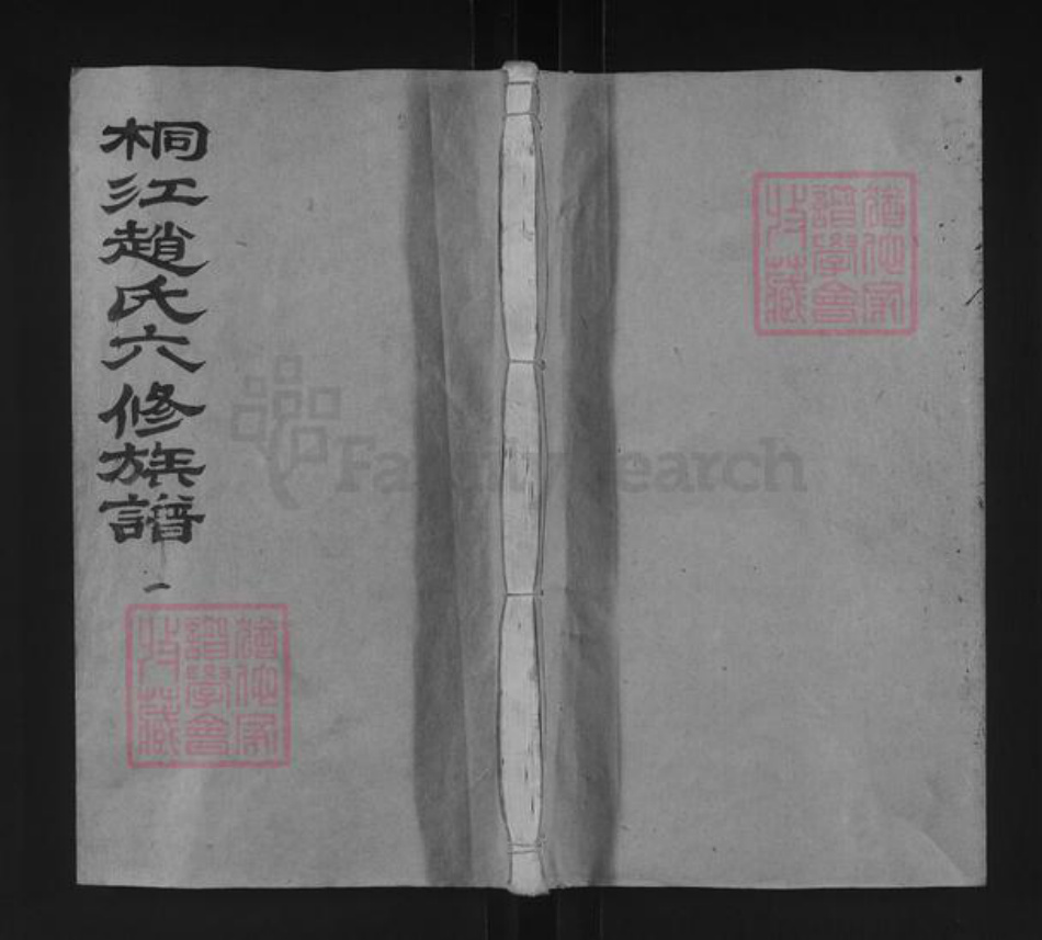 湖南省邵阳市赵氏琴鹤堂族谱-桐江赵氏六修族谱.pdf电子版