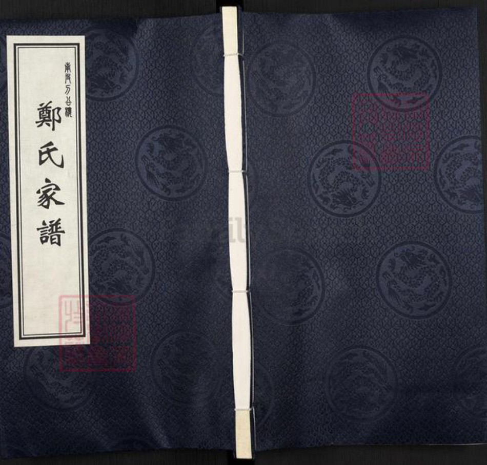 河北省沧州南皮县潞灌乡郑氏族谱-郑氏家谱.pdf电子版插图