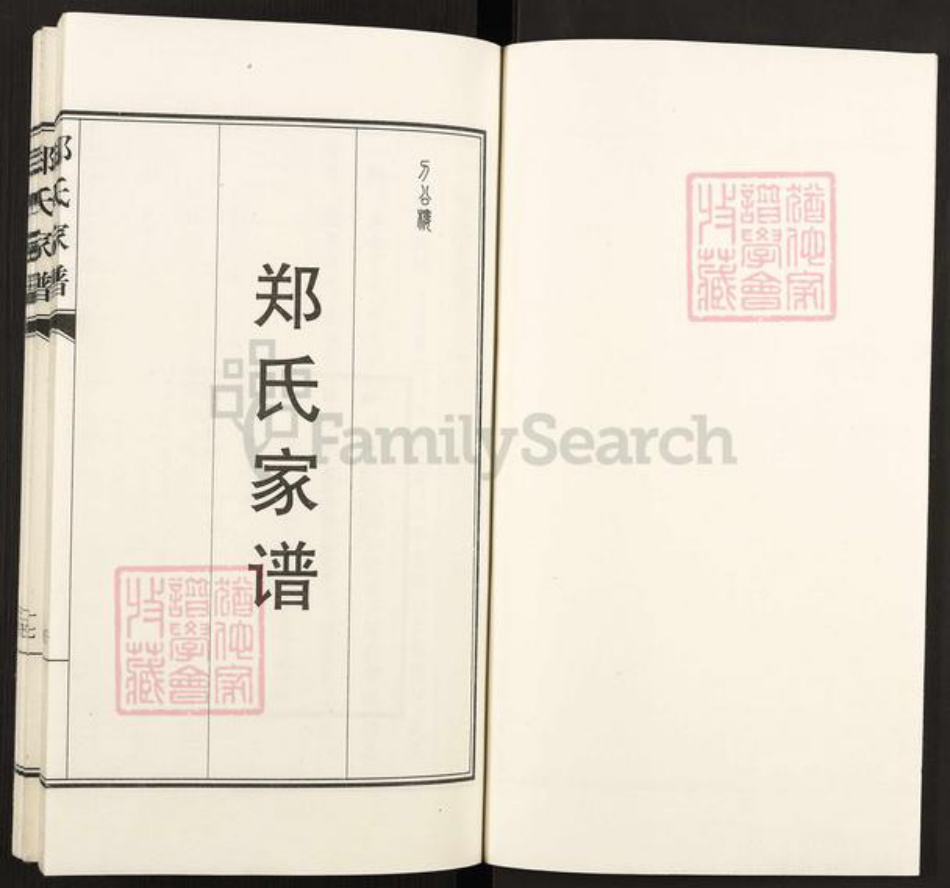 河北省沧州南皮县潞灌乡郑氏族谱-郑氏家谱.pdf电子版插图1
