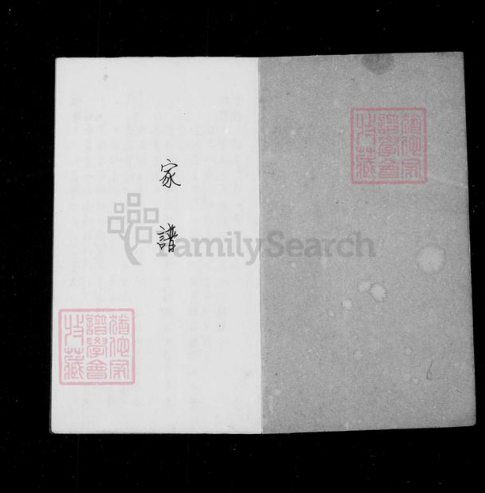 湖南省衡阳市衡南县隆市郑氏靖邑堂族谱-[郑氏]家谱.pdf电子版插图2