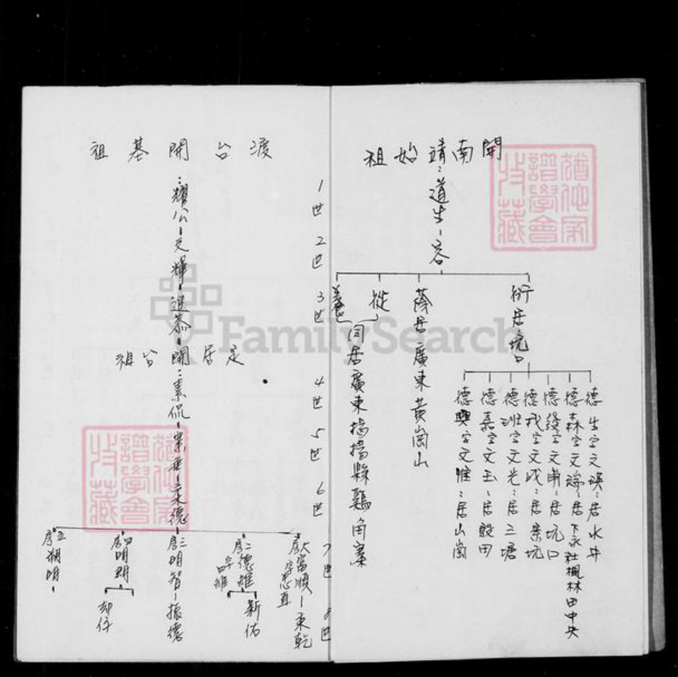 湖南省衡阳市衡南县隆市郑氏靖邑堂族谱-[郑氏]家谱.pdf电子版插图4