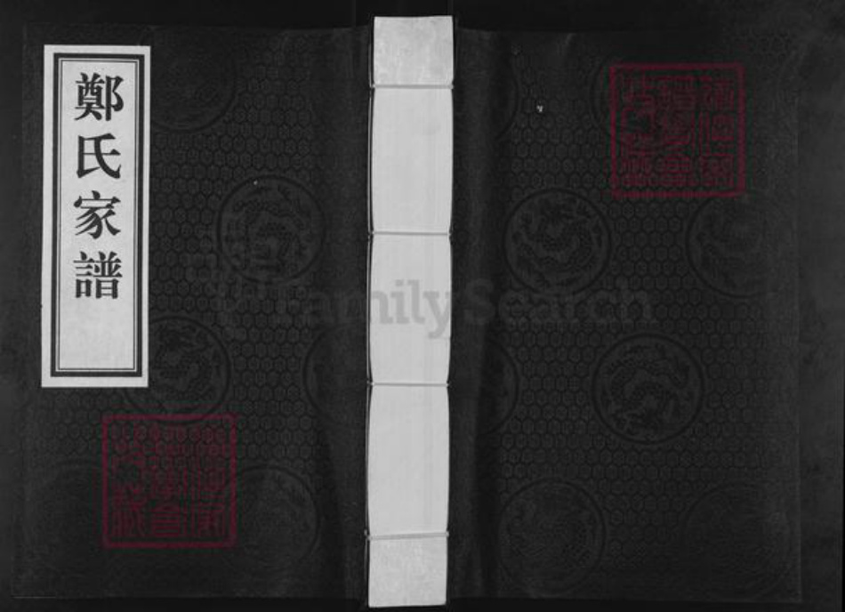 河北省沧州新华区郑氏族谱-郑氏家谱.pdf电子版