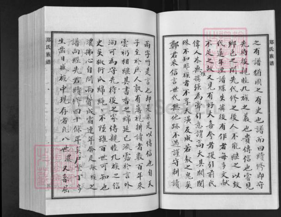 河北省沧州新华区郑氏族谱-郑氏家谱.pdf电子版插图4 河北省沧州新华区郑氏族谱-郑氏家谱.pdf电子版插图4