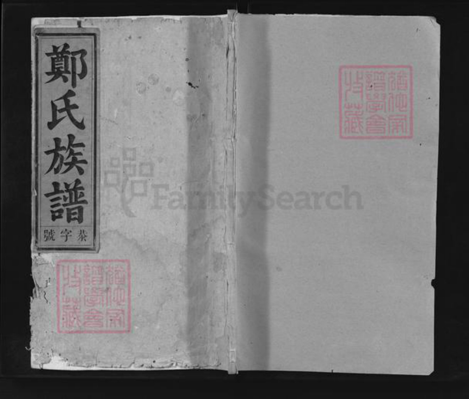 安徽省安庆市怀宁县郑氏崇让堂族谱-郑氏族谱.pdf电子版