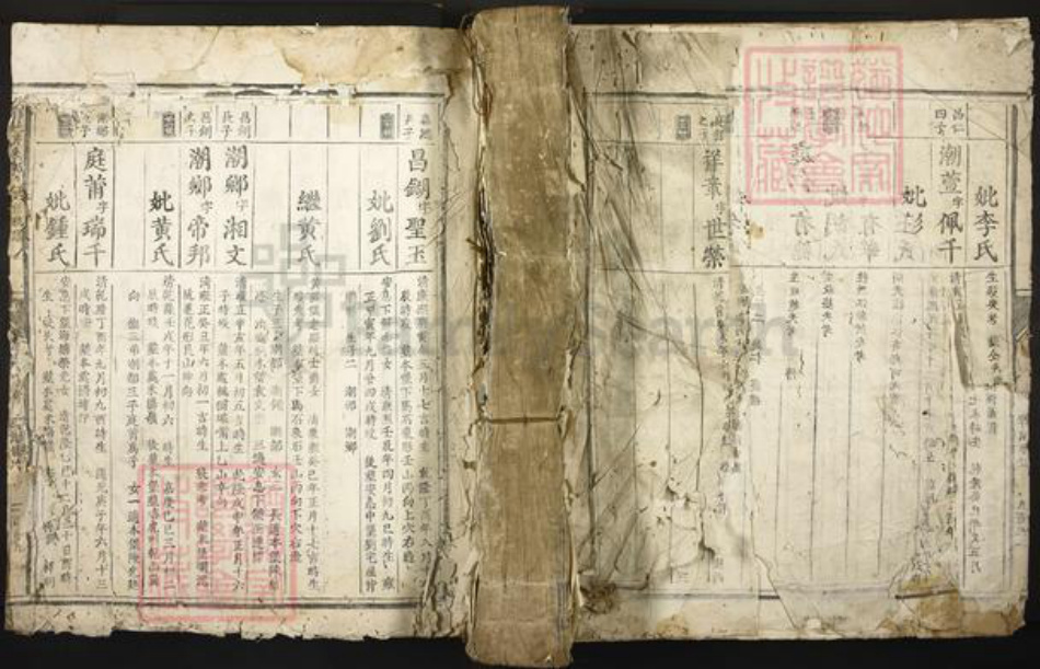 江西省赣州市信丰县郑氏族谱-信邑芹采郑氏四修族谱.pdf电子版