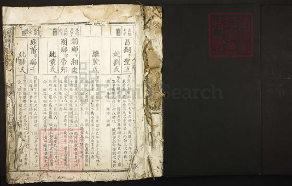 江西省赣州市信丰县郑氏族谱-信邑芹采郑氏四修族谱.pdf电子版插图1 江西省赣州市信丰县郑氏族谱-信邑芹采郑氏四修族谱.pdf电子版插图1