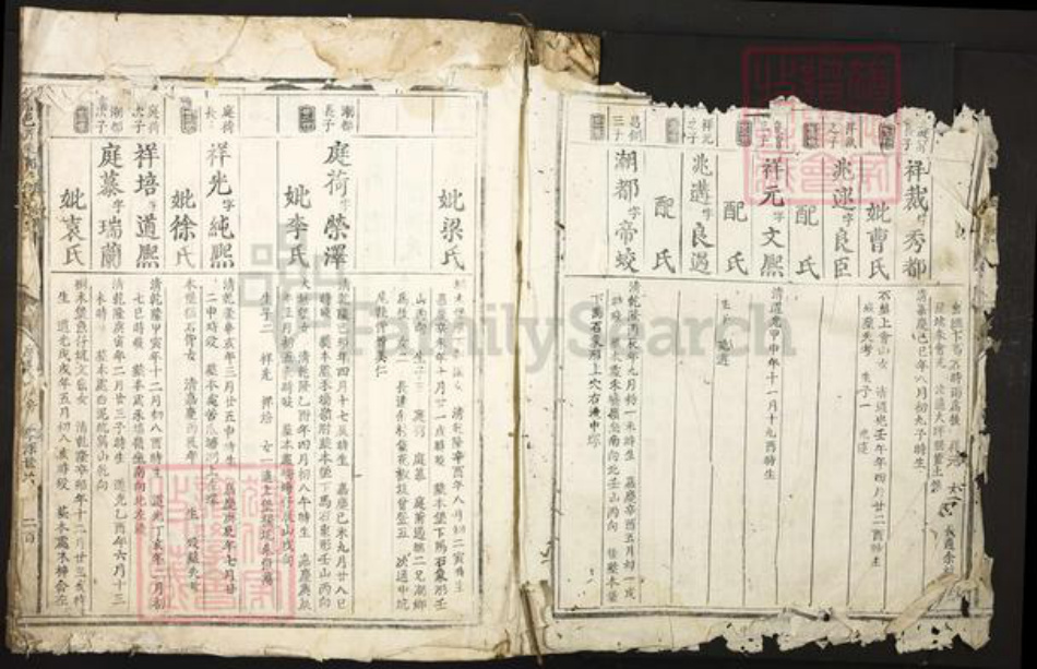 江西省赣州市信丰县郑氏族谱-信邑芹采郑氏四修族谱.pdf电子版插图2 江西省赣州市信丰县郑氏族谱-信邑芹采郑氏四修族谱.pdf电子版插图2