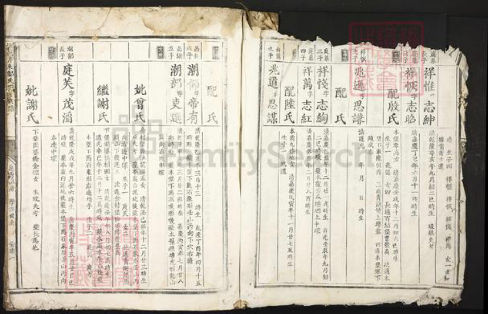 江西省赣州市信丰县郑氏族谱-信邑芹采郑氏四修族谱.pdf电子版插图3 江西省赣州市信丰县郑氏族谱-信邑芹采郑氏四修族谱.pdf电子版插图3