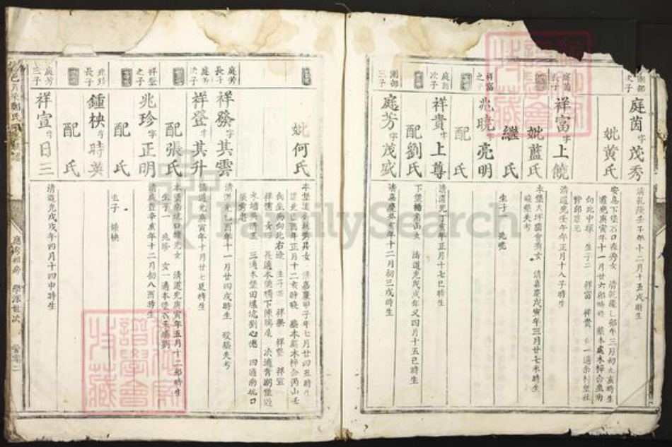 江西省赣州市信丰县郑氏族谱-信邑芹采郑氏四修族谱.pdf电子版插图4 江西省赣州市信丰县郑氏族谱-信邑芹采郑氏四修族谱.pdf电子版插图4