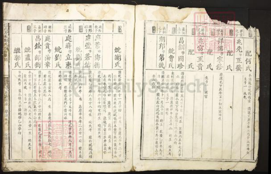 江西省赣州市信丰县郑氏族谱-信邑芹采郑氏四修族谱.pdf电子版插图5 江西省赣州市信丰县郑氏族谱-信邑芹采郑氏四修族谱.pdf电子版插图5