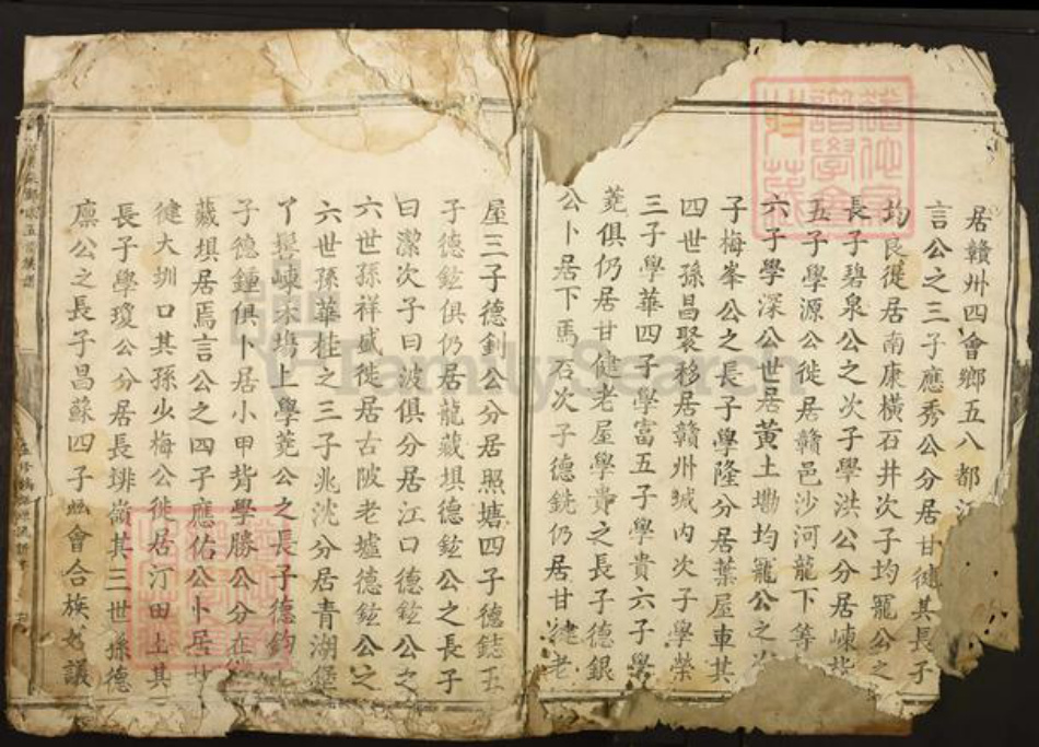 江西省赣州市郑氏族谱-信邑芹采郑氏五修族谱.pdf电子版插图2 江西省赣州市郑氏族谱-信邑芹采郑氏五修族谱.pdf电子版插图2