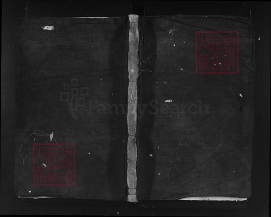 浙江省丽水市遂昌县郑氏族谱-瓦窑冈郑氏宗谱.pdf电子版