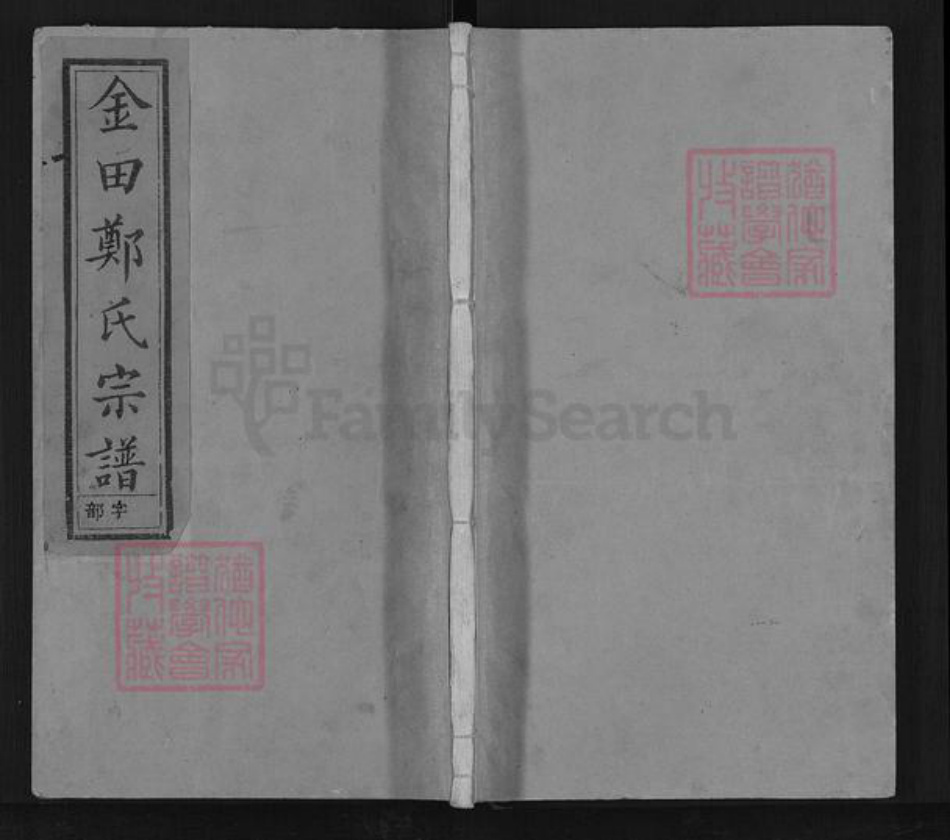 浙江省衢州江山市峡口镇郑氏瑞安堂族谱-金田郑氏宗谱.pdf电子版