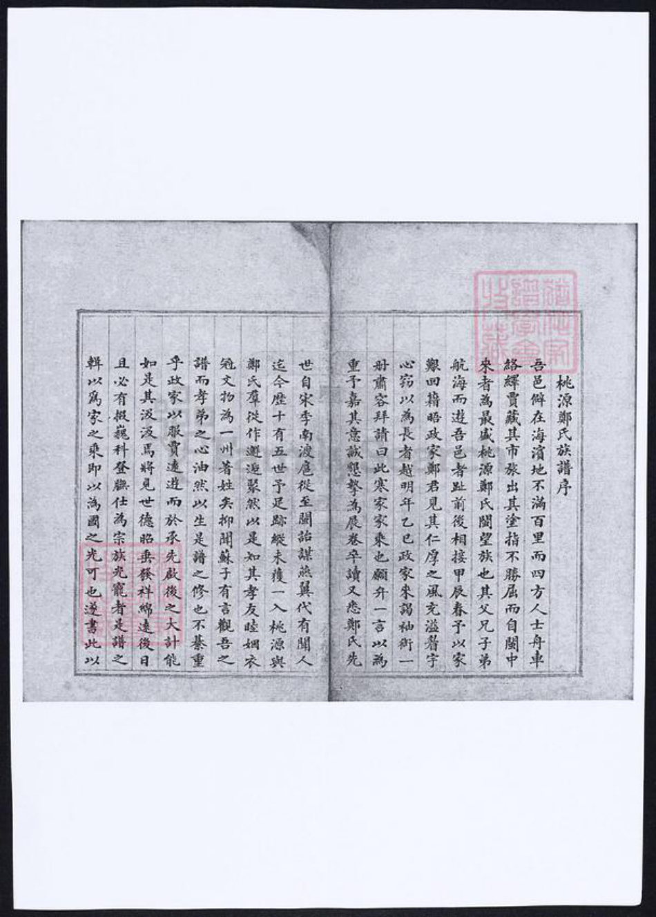 福建省郑氏族谱-仁德堂郑谱录纪要本.pdf电子版插图1