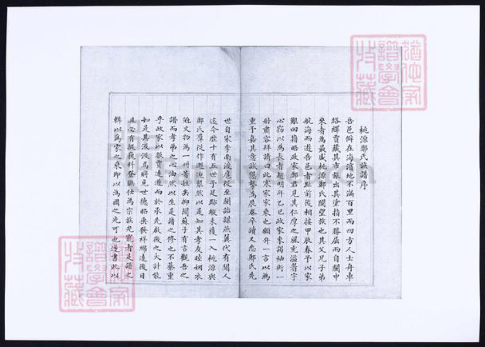福建省泉州市永春县郑氏族谱-仁德堂郑谱录纪要本.pdf电子版插图1