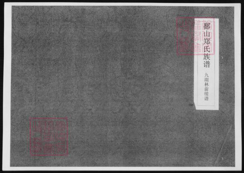 福建省漳州市郑氏族谱-鄱山郑氏族谱.九湖林前续谱.pdf电子版插图
