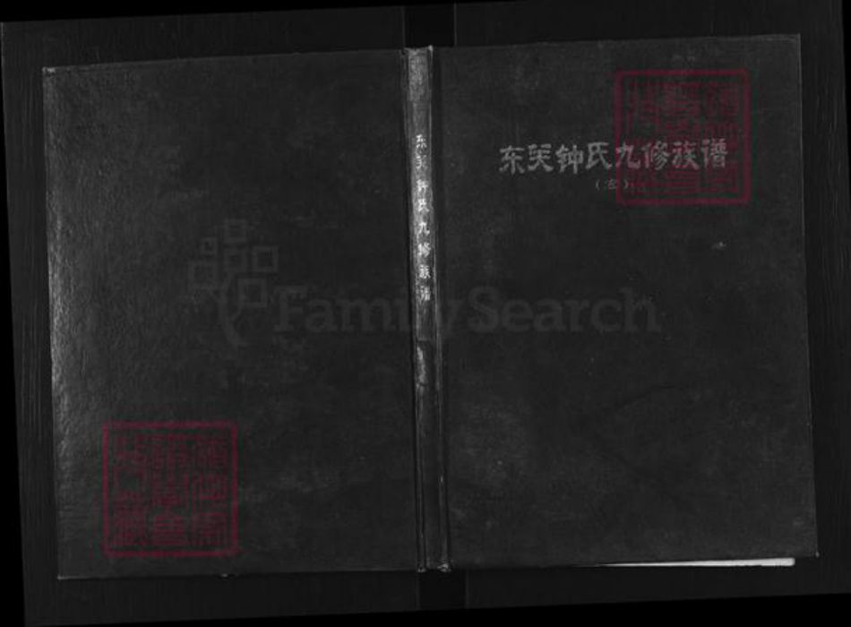 江西省赣州市瑞金市钟氏族谱-东关钟氏九修族谱.pdf电子版