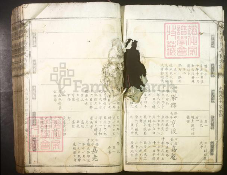 江西省赣州市衷氏族谱-麻溪丹阳衷氏族谱.pdf电子版插图5 江西省赣州市衷氏族谱-麻溪丹阳衷氏族谱.pdf电子版插图5