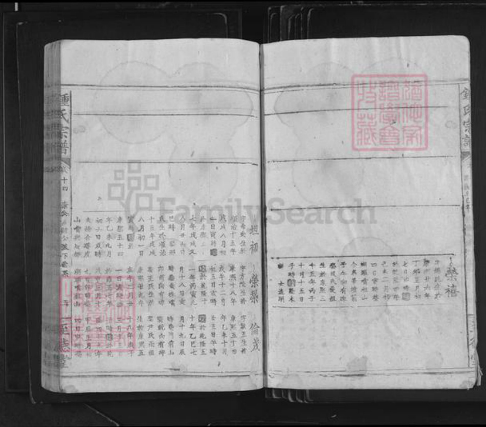 江西省吉安市泰和市苏溪镇钟氏至德堂族谱-钟氏宗谱.pdf电子版插图5