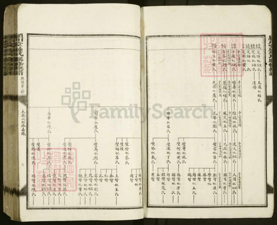江西省赣州市兴国县钟氏颖川堂族谱-颖川堂钟氏联修宗谱.pdf电子版插图3