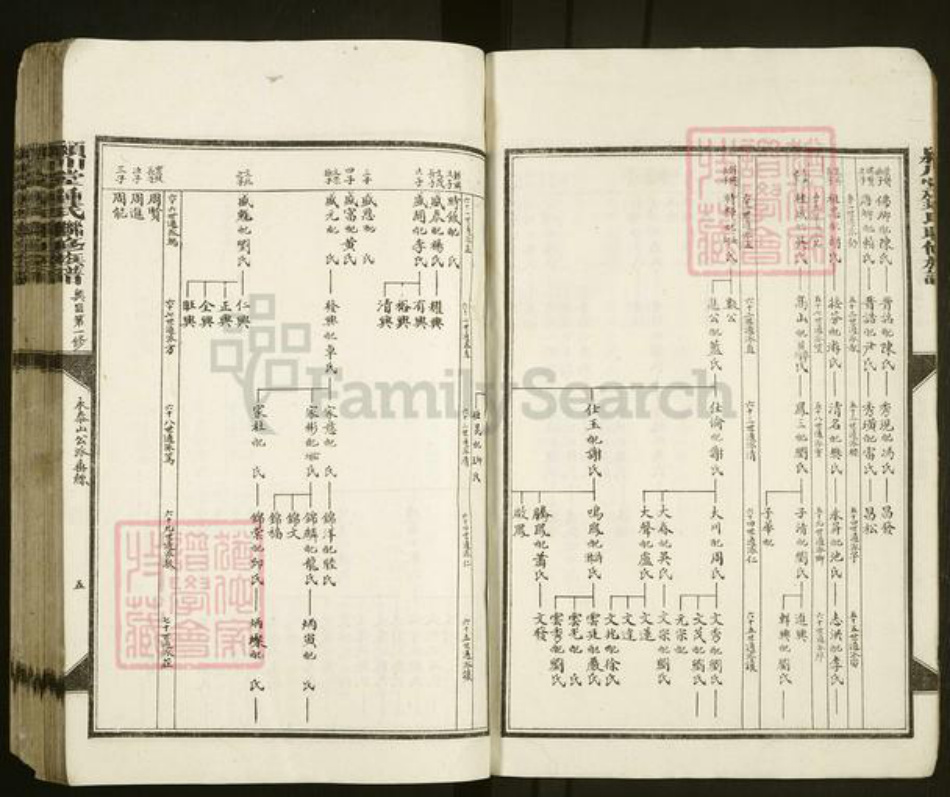 江西省赣州市兴国县钟氏颖川堂族谱-颖川堂钟氏联修宗谱.pdf电子版插图5