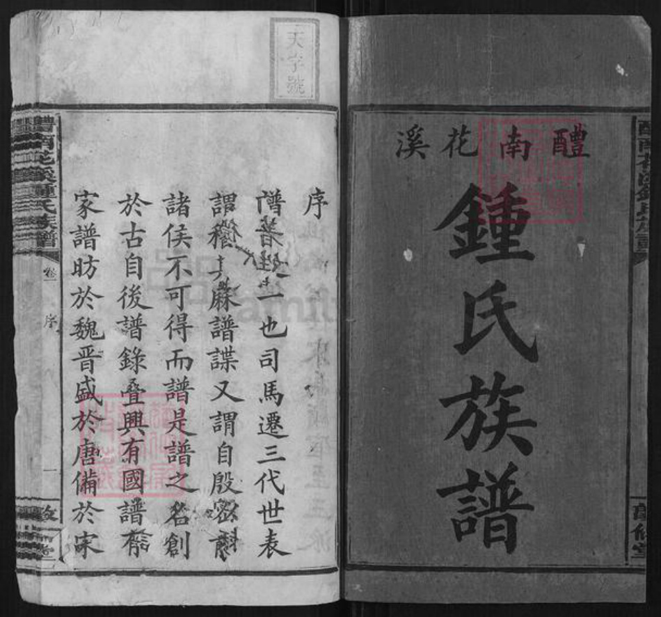 湖南省株洲市醴陵市醴陵钟氏族谱-醴南花溪钟氏族谱[12卷].pdf电子版插图2