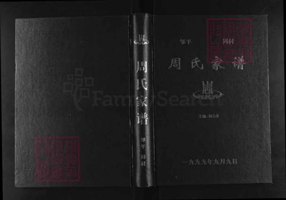 山东省滨州市邹平市周氏族谱-周氏家谱.pdf电子版