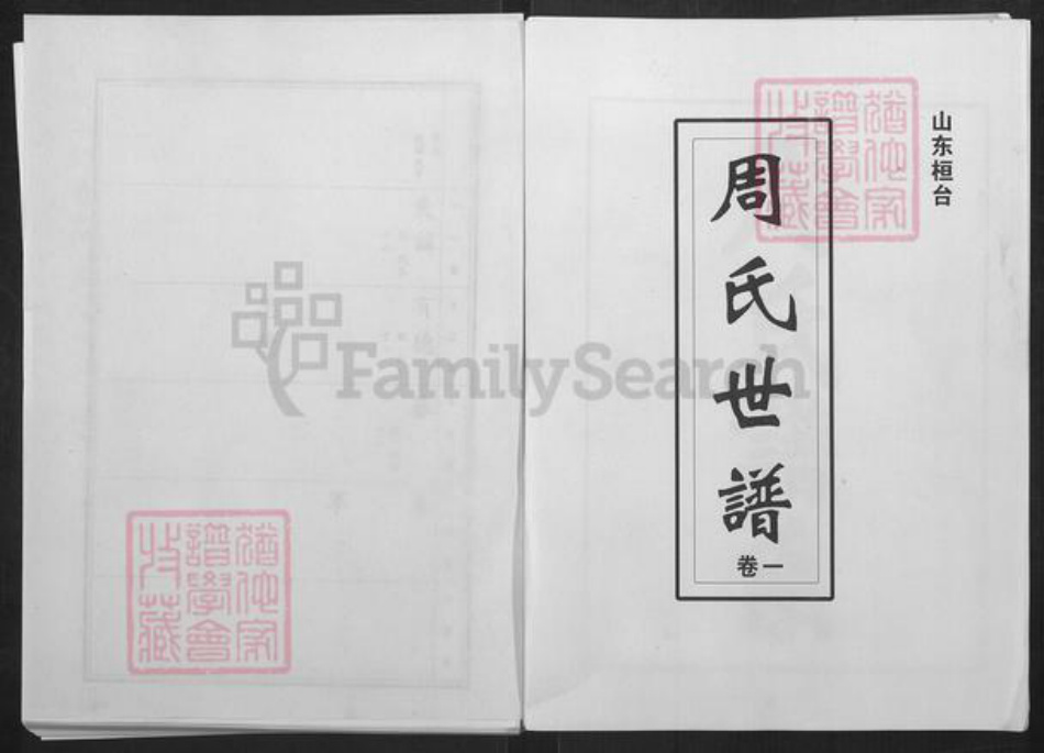 山东省淄博市桓台县新城镇周氏族谱-周氏世谱.pdf电子版