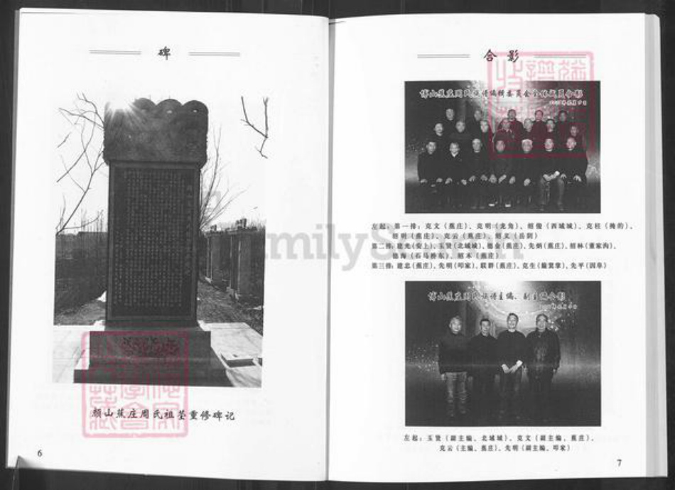 山东省淄博市博山区周氏族谱-周氏族谱.pdf电子版插图4