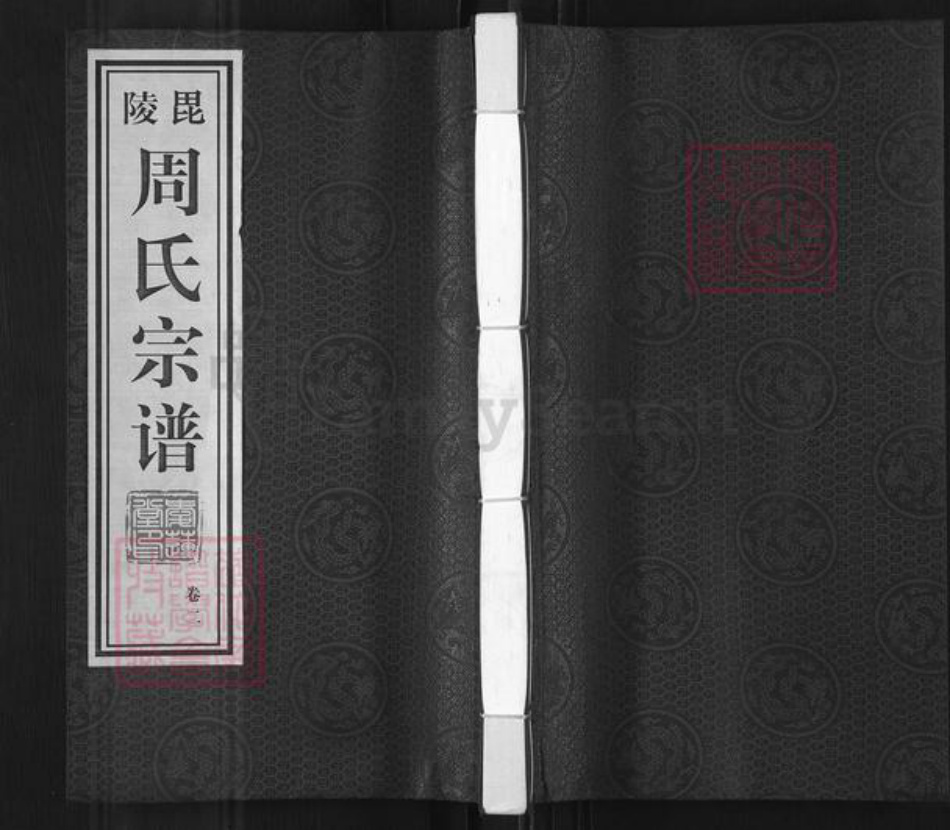 江苏省常州市武进县周氏爱莲堂族谱-毘陵周氏宗谱.pdf电子版