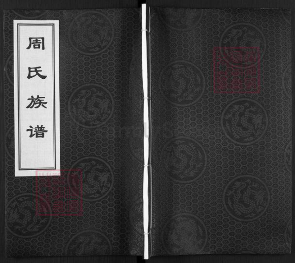湖南省邵阳市邵东市廉桥镇周氏族谱-周氏族谱.pdf电子版插图