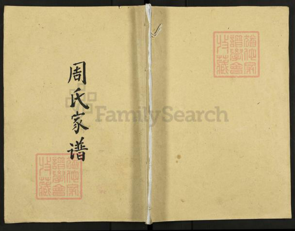 江苏省扬州市高邮市高邮街道周氏族谱-周氏家谱.pdf电子版插图