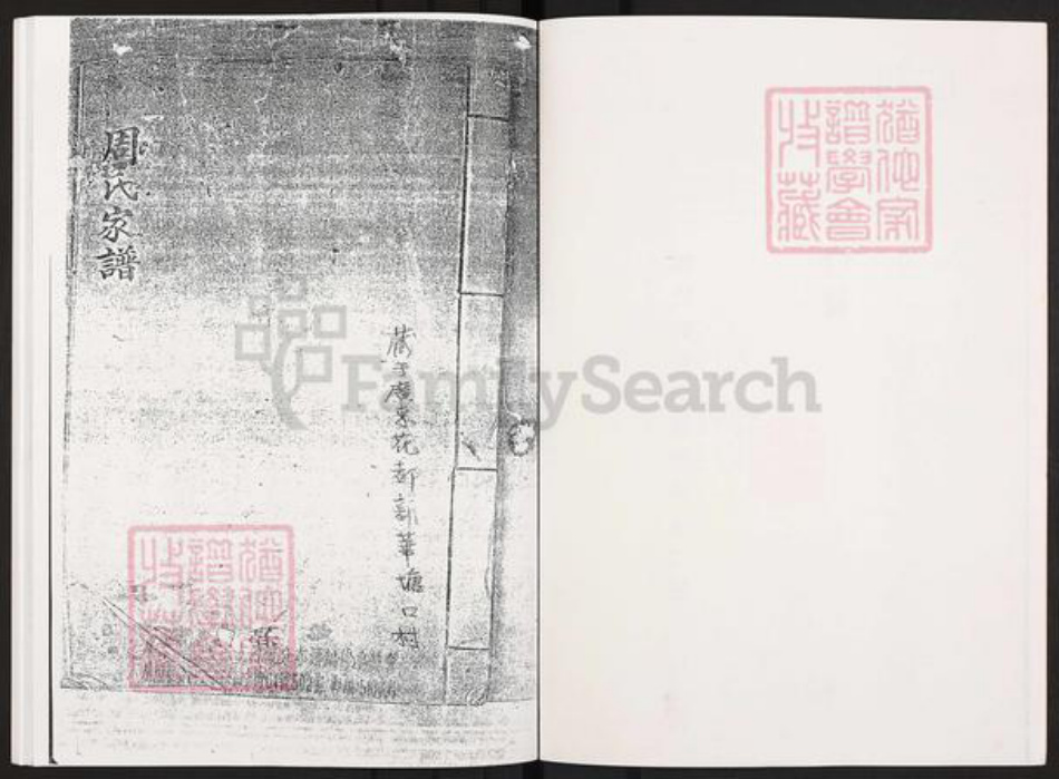 广东省清远市佛冈县汤塘镇周氏族谱-周氏家门谱.pdf电子版插图2