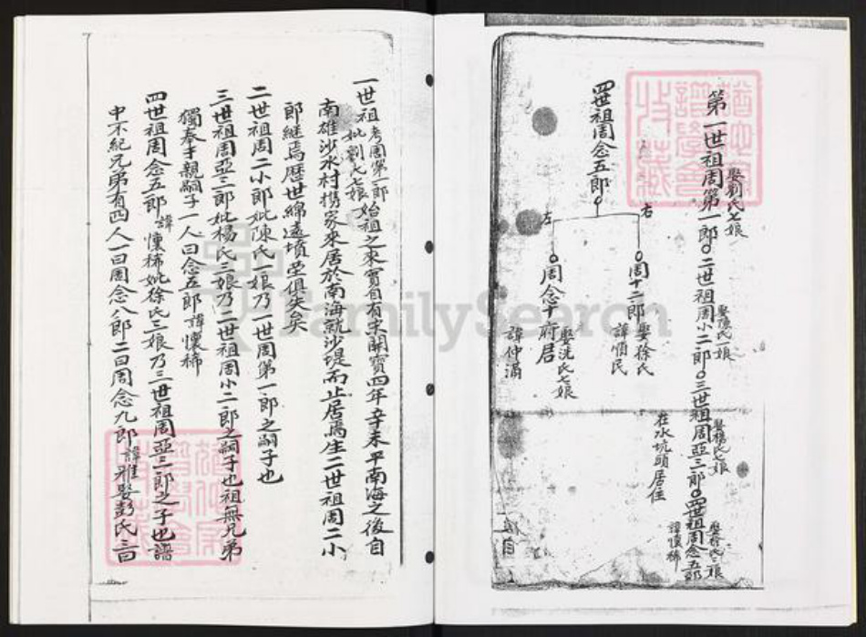 广东省云浮市郁南县宝珠镇周氏族谱-广东沙坑周宗支.郁南庞寨木坪社支系.pdf电子版插图3