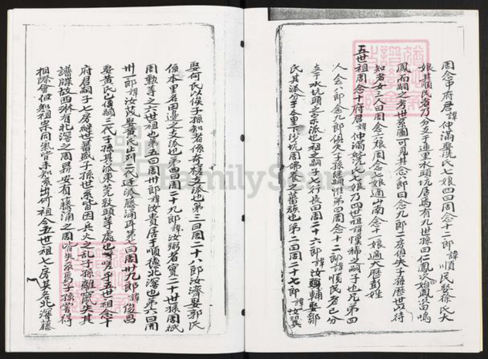 广东省云浮市郁南县宝珠镇周氏族谱-广东沙坑周宗支.郁南庞寨木坪社支系.pdf电子版插图4