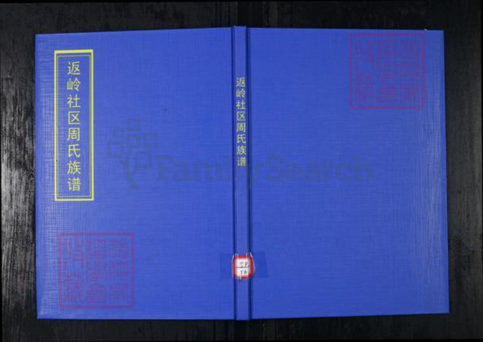 山东省青岛市崂山区周氏族谱-返岭社区周氏族谱.pdf电子版插图