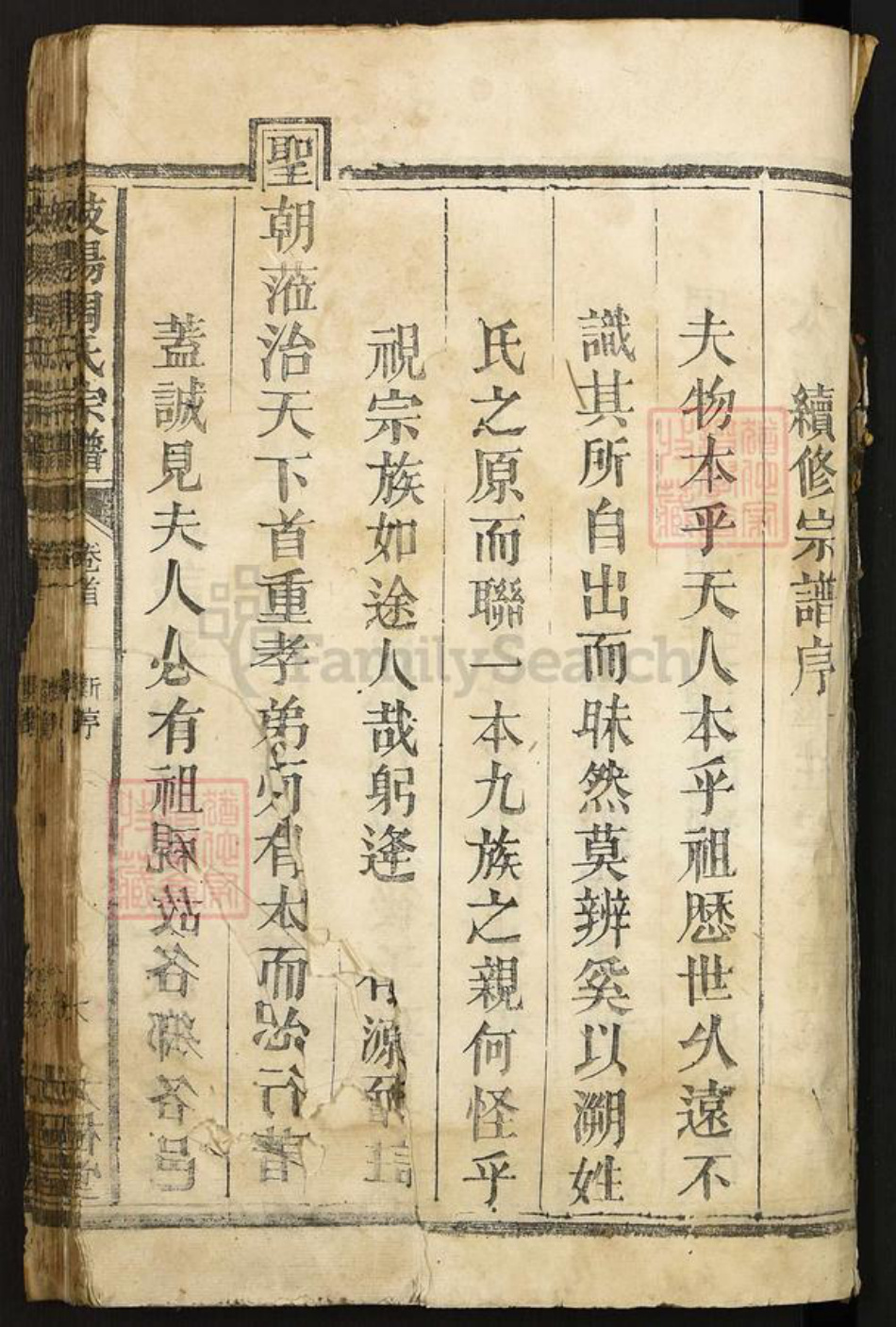 江西省上饶市广丰区洋口镇周氏太极堂族谱-岐阳周氏宗谱.pdf电子版插图1